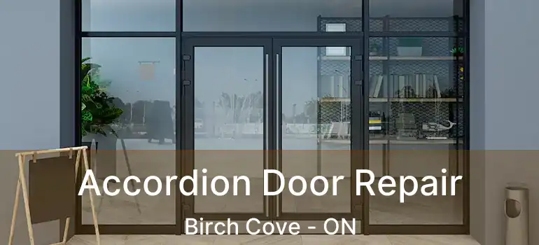  Accordion Door Repair Birch Cove - ON