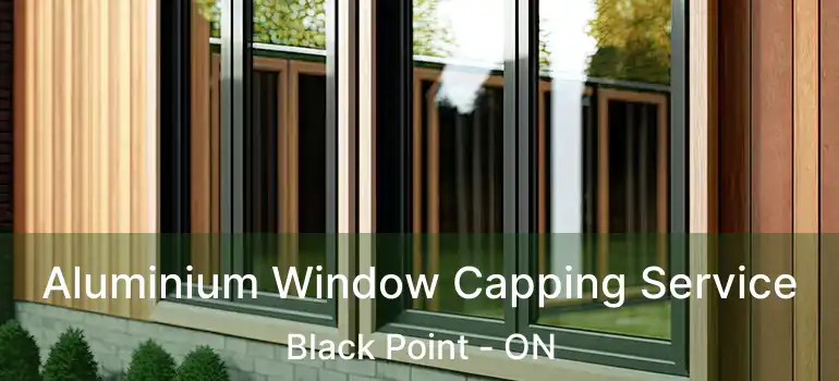  Aluminium Window Capping Service Black Point - ON