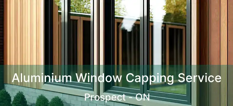  Aluminium Window Capping Service Prospect - ON