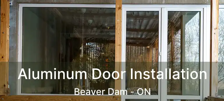  Aluminum Door Installation Beaver Dam - ON