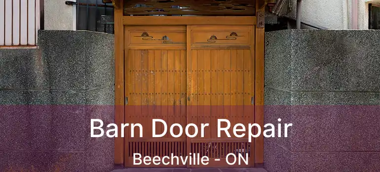  Barn Door Repair Beechville - ON