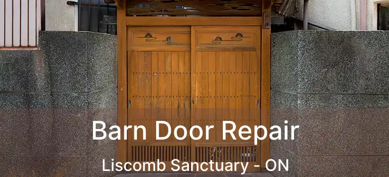  Barn Door Repair Liscomb Sanctuary - ON