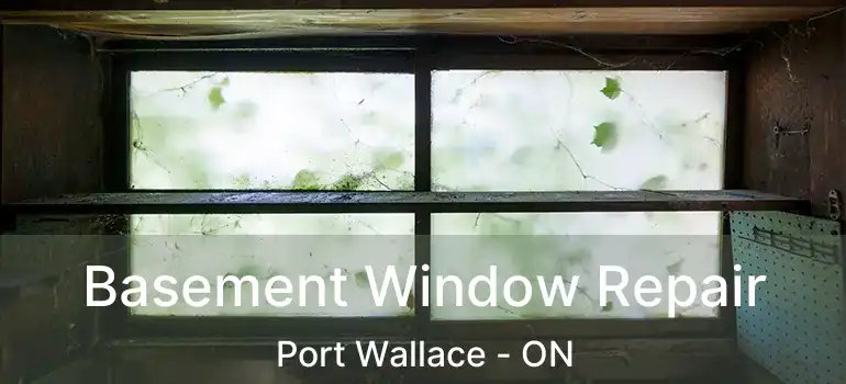  Basement Window Repair Port Wallace - ON