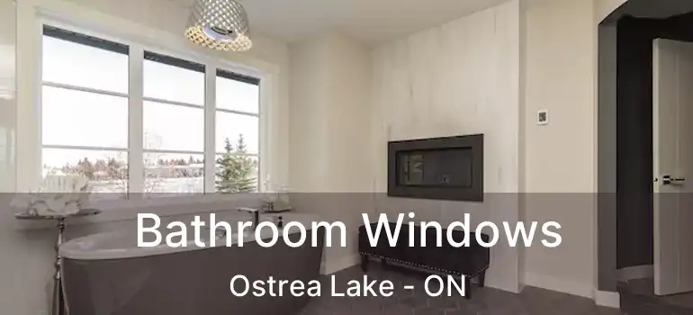  Bathroom Windows Ostrea Lake - ON