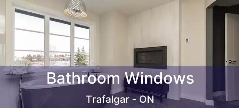  Bathroom Windows Trafalgar - ON
