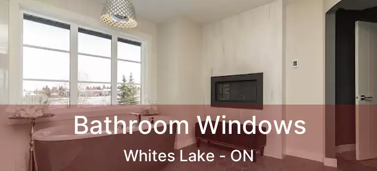  Bathroom Windows Whites Lake - ON
