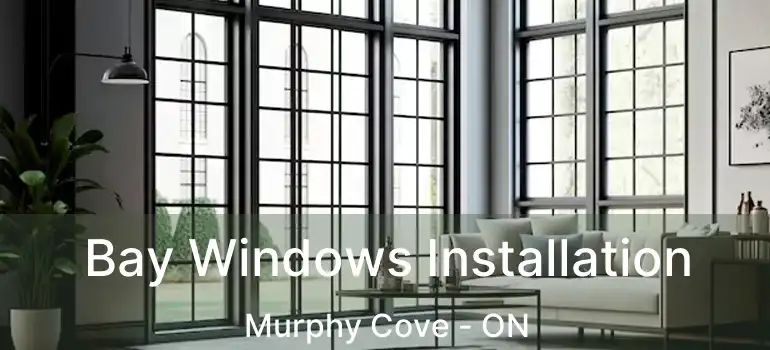  Bay Windows Installation Murphy Cove - ON
