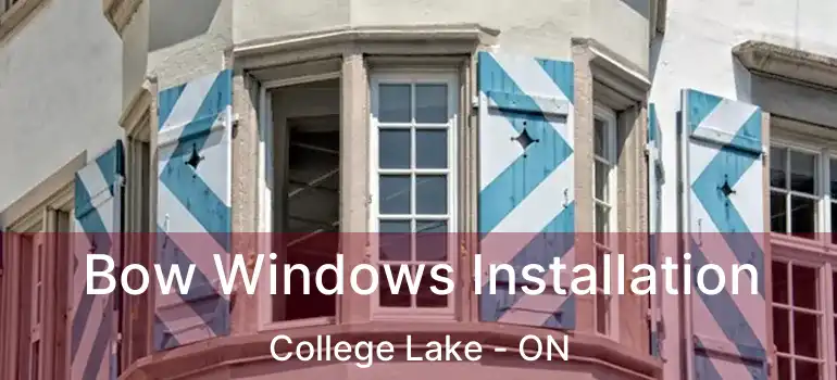  Bow Windows Installation College Lake - ON