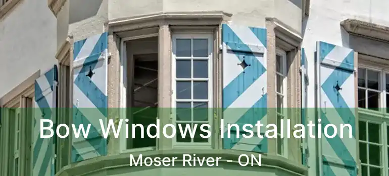  Bow Windows Installation Moser River - ON
