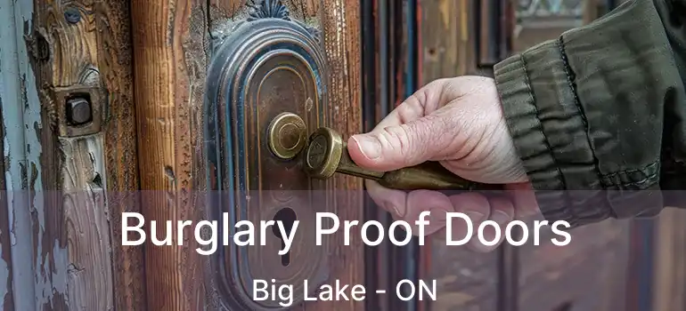  Burglary Proof Doors Big Lake - ON
