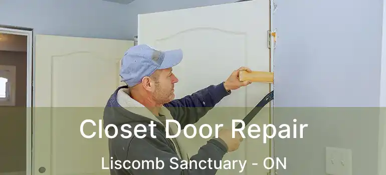 Closet Door Repair Liscomb Sanctuary - ON