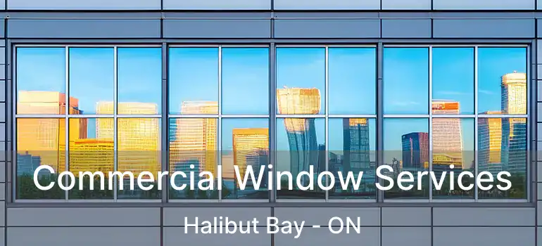  Commercial Window Services Halibut Bay - ON