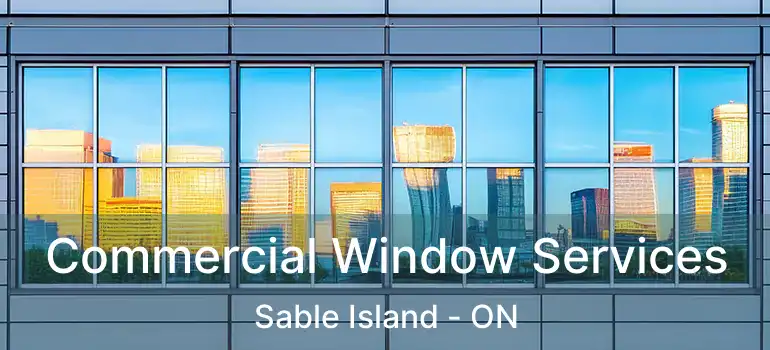  Commercial Window Services Sable Island - ON