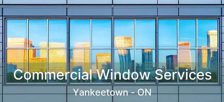  Commercial Window Services Yankeetown - ON