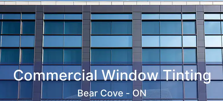  Commercial Window Tinting Bear Cove - ON