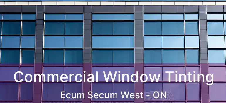  Commercial Window Tinting Ecum Secum West - ON