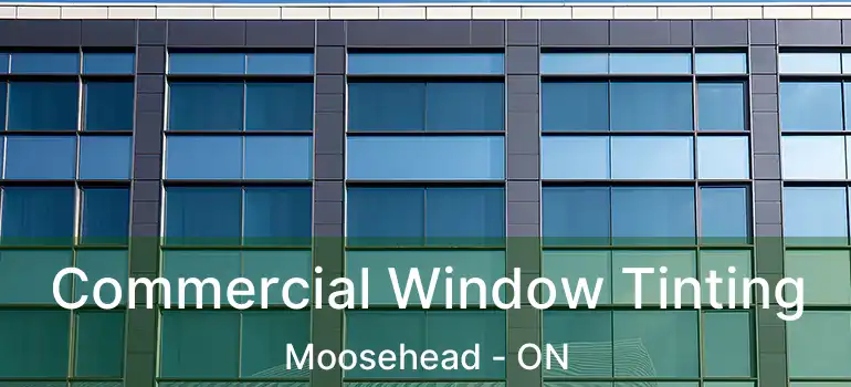  Commercial Window Tinting Moosehead - ON