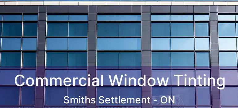  Commercial Window Tinting Smiths Settlement - ON