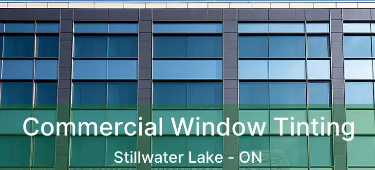  Commercial Window Tinting Stillwater Lake - ON