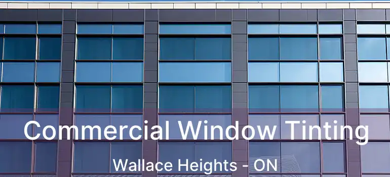  Commercial Window Tinting Wallace Heights - ON