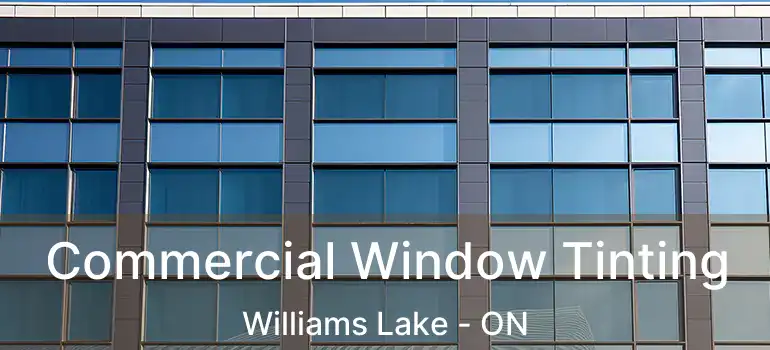  Commercial Window Tinting Williams Lake - ON
