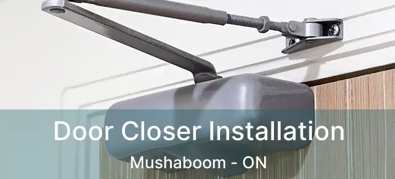  Door Closer Installation Mushaboom - ON