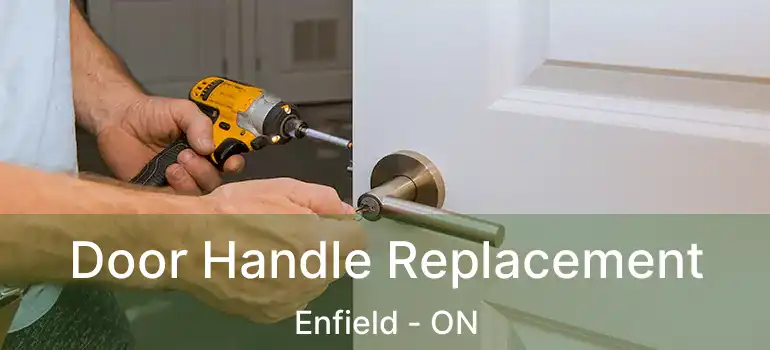  Door Handle Replacement Enfield - ON
