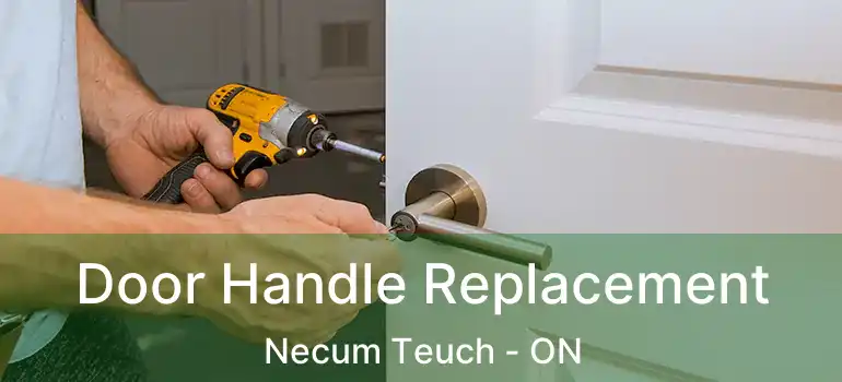  Door Handle Replacement Necum Teuch - ON