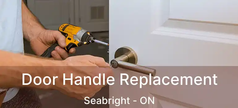  Door Handle Replacement Seabright - ON