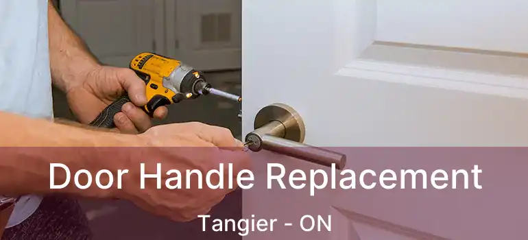  Door Handle Replacement Tangier - ON