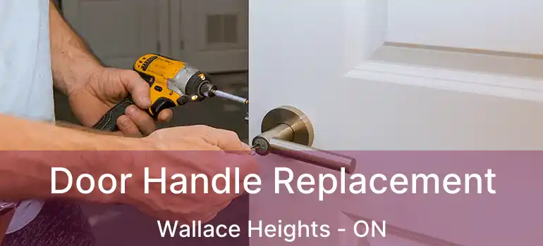  Door Handle Replacement Wallace Heights - ON