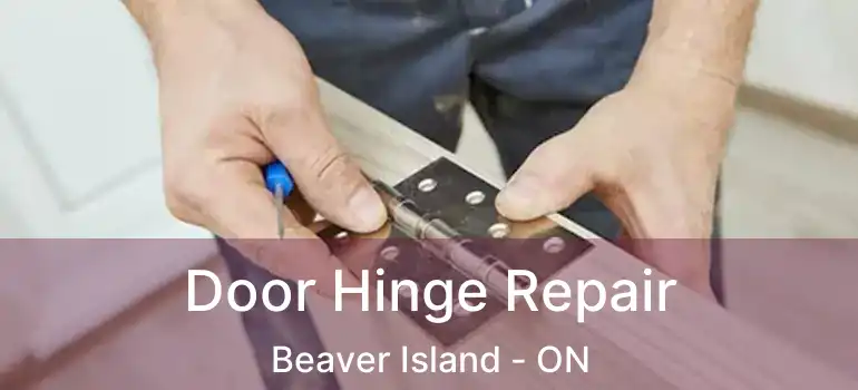 Door Hinge Repair Beaver Island - ON