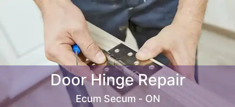  Door Hinge Repair Ecum Secum - ON