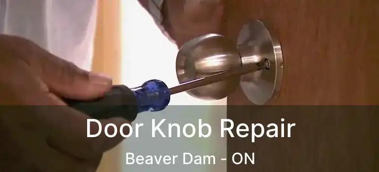  Door Knob Repair Beaver Dam - ON