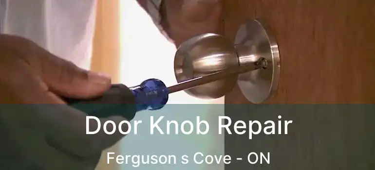  Door Knob Repair Ferguson s Cove - ON
