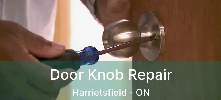  Door Knob Repair Harrietsfield - ON