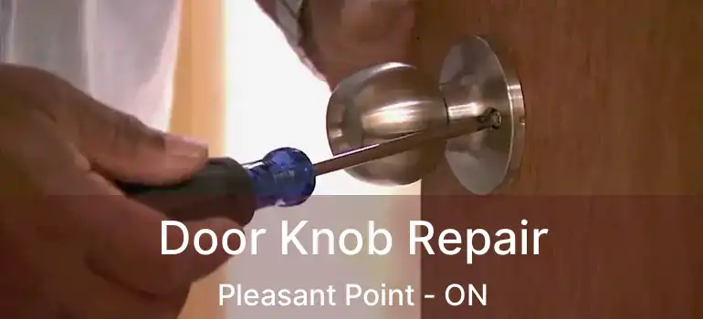  Door Knob Repair Pleasant Point - ON