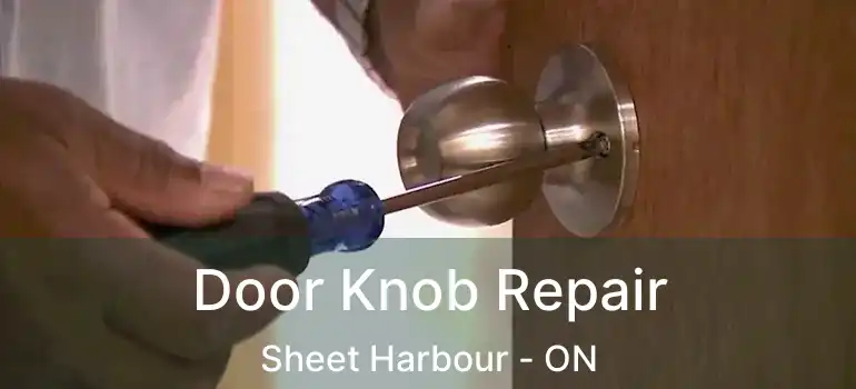  Door Knob Repair Sheet Harbour - ON