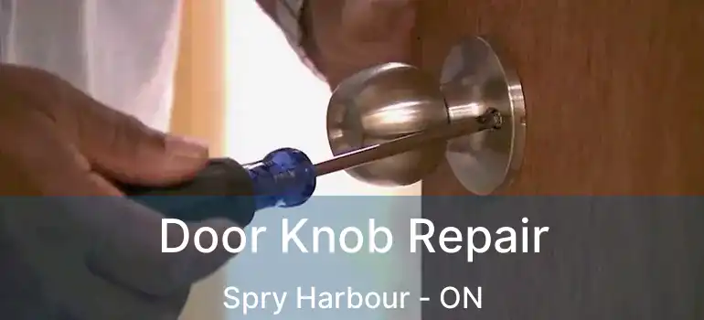  Door Knob Repair Spry Harbour - ON