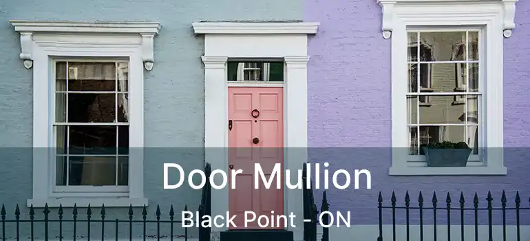  Door Mullion Black Point - ON