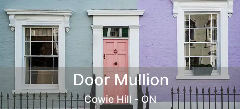  Door Mullion Cowie Hill - ON