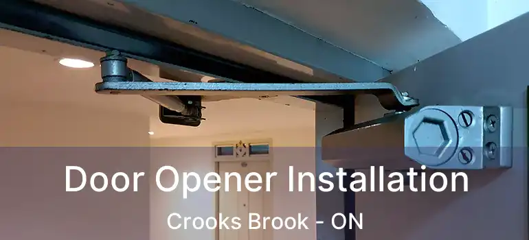  Door Opener Installation Crooks Brook - ON