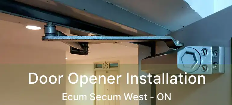  Door Opener Installation Ecum Secum West - ON