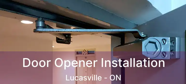  Door Opener Installation Lucasville - ON