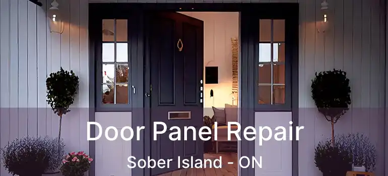  Door Panel Repair Sober Island - ON