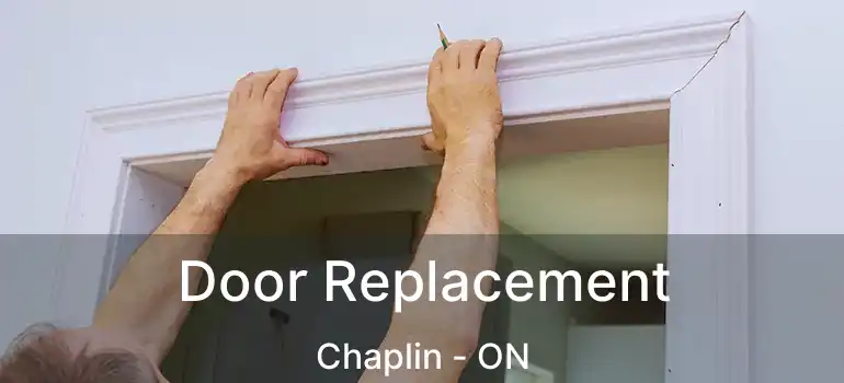  Door Replacement Chaplin - ON