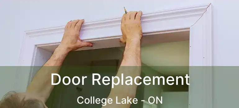  Door Replacement College Lake - ON