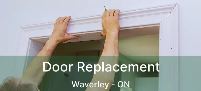  Door Replacement Waverley - ON