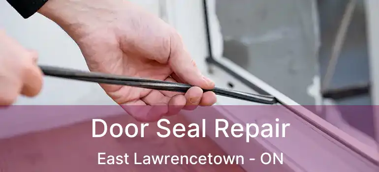  Door Seal Repair East Lawrencetown - ON
