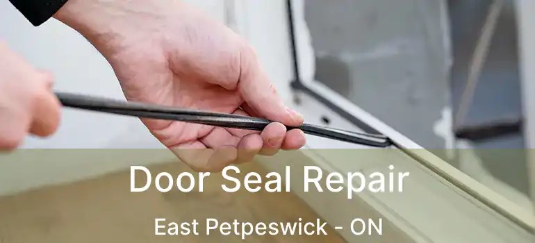  Door Seal Repair East Petpeswick - ON
